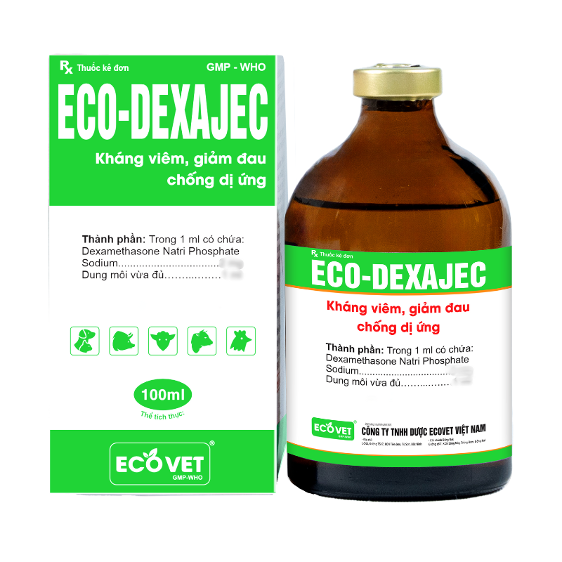 ECO DEXAJEC - Kháng viêm, giảm đau, chống dị ứng.