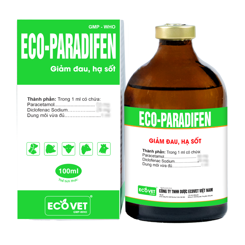 ECO PARADIFEN - Giảm đau, hạ sốt.