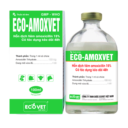 ECO AMOXVET LA - Hỗn dịch tiêm Amoxycillin 15%. Có tác dụng kéo dài 48h.
