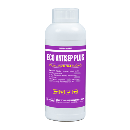 ECO - ANTISEP PLUS - Dung dịch sát trùng.