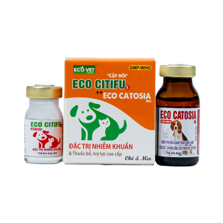 ECO CITIFU S & ECO CATOSIA INJ - Đặc trị nhiễm khuẩn & thuốc bổ trợ, trợ lực cao cấp