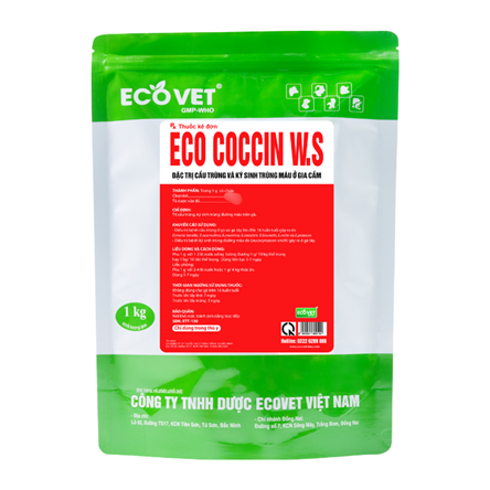 ECO - COCCIN W.S - Đặc trị cầu trùng và ký sinh trùng đường máu ở gia cầm.