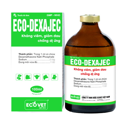 ECO DEXAJEC - Kháng viêm, giảm đau, chống dị ứng.