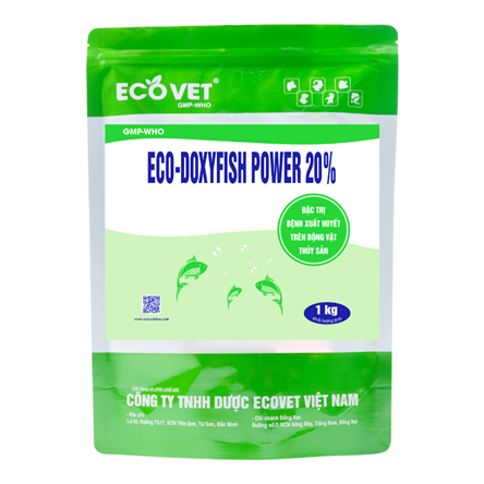 ECO DOXYFISH POWER 20% - Đặc trị bệnh xuất huyết trên động vật thuỷ sản