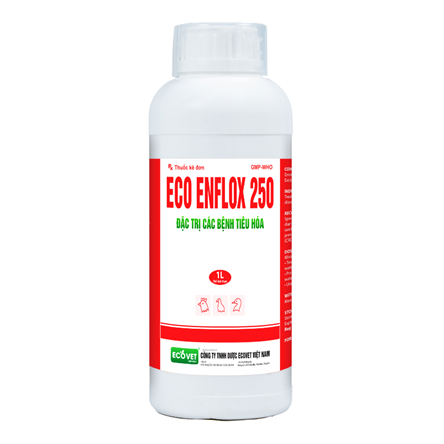 ECO - ENFLOX 250 - Đặc trị các bệnh đường tiêu hóa.