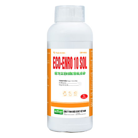 ECO ENRO 10 SOL - Đặc trị các bệnh đường tiêu hóa, hô hấp
