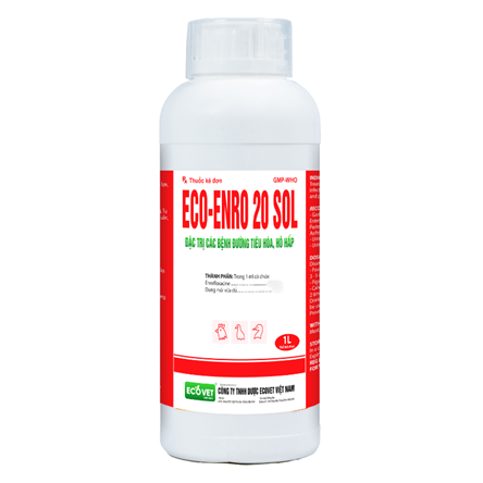 ECO ENRO 20 SOL - Đặc trị các bệnh đường tiêu hóa, hô hấp