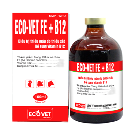 ECO VET FE+B12 - Đặc trị thiếu máu do thiếu sắt, bổ sung vitamin B12