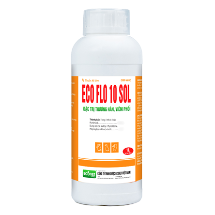 ECO FLO 10 SOL - Đặc trị thương hàn viêm phổi