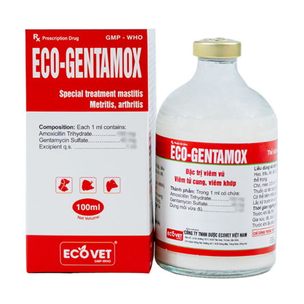 ECO GENTAMOX - Đặc trị viêm vú, viêm tử cung, viêm khớp.