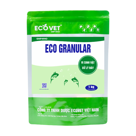 ECO GRANULAR - Vi sinh vật xử lý đáy