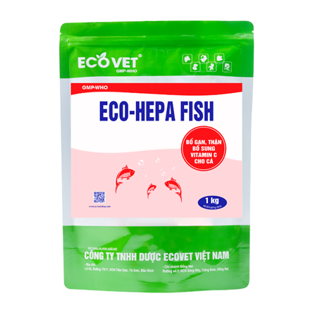 ECO HEPA FISH - Bổ gan thận, bổ sung vitamin cho cá