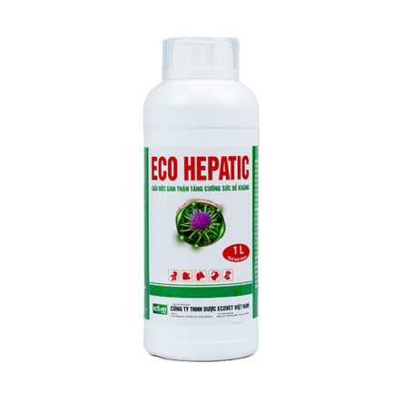 ECO HEPATIC - Giải độc gan thận cấp. Tăng cường sức đề kháng.