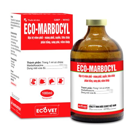 ECO - MARBOCYL - Đặc trị viêm phổi - màng phổi, suyễn tiêu chảy phân trắng, sưng vù, viêm khớp.
