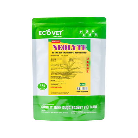 NEOLYTE - Hỗn hợp điện giải, vitamin men vi sinh vật