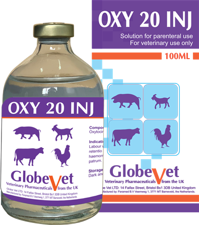 OXY 20 INJ - Tăng cường co bóp tử cung, kích thích tiết sữa, cầm máu nái sau sinh.