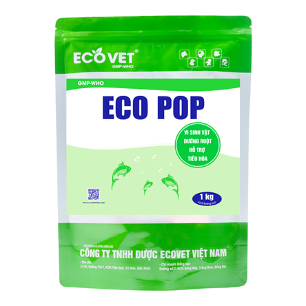 ECO POP - Vi sinh vật đường ruột, hỗ trợ tiêu hoá