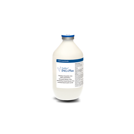 PoulShot ING-Plus - Phòng bệnh viêm phế quản truyền nhiễm ( IB), Newcastle ( ND) & Gumboro ( IBD) trên gà