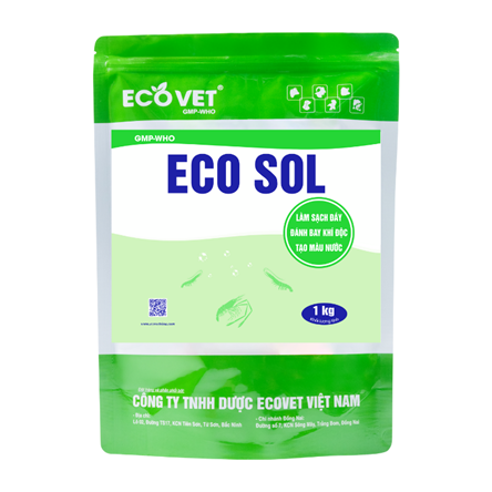ECO SOL - Làm sạch đáy, đánh bay khí độc, tạo màu nước.