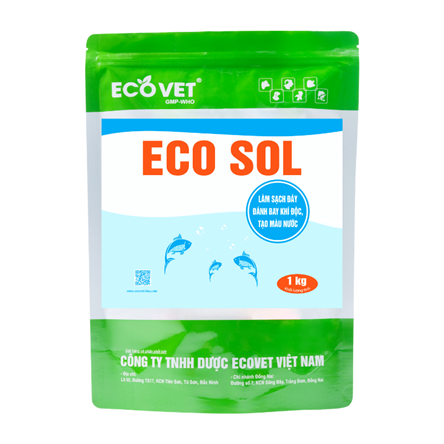 ECO SOL - Làm sạch đáy, đánh bay khí độc, tạo màu nước