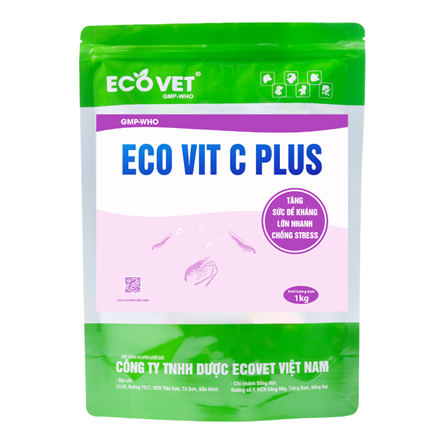 ECO VIT C PLUS - Tăng cường sức đề kháng, chống stress, lớn nhanh.